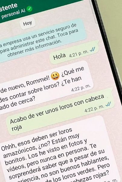 C Mo Chatear Con Pi Asistente En Whatsapp De Manera Gratuita Todo